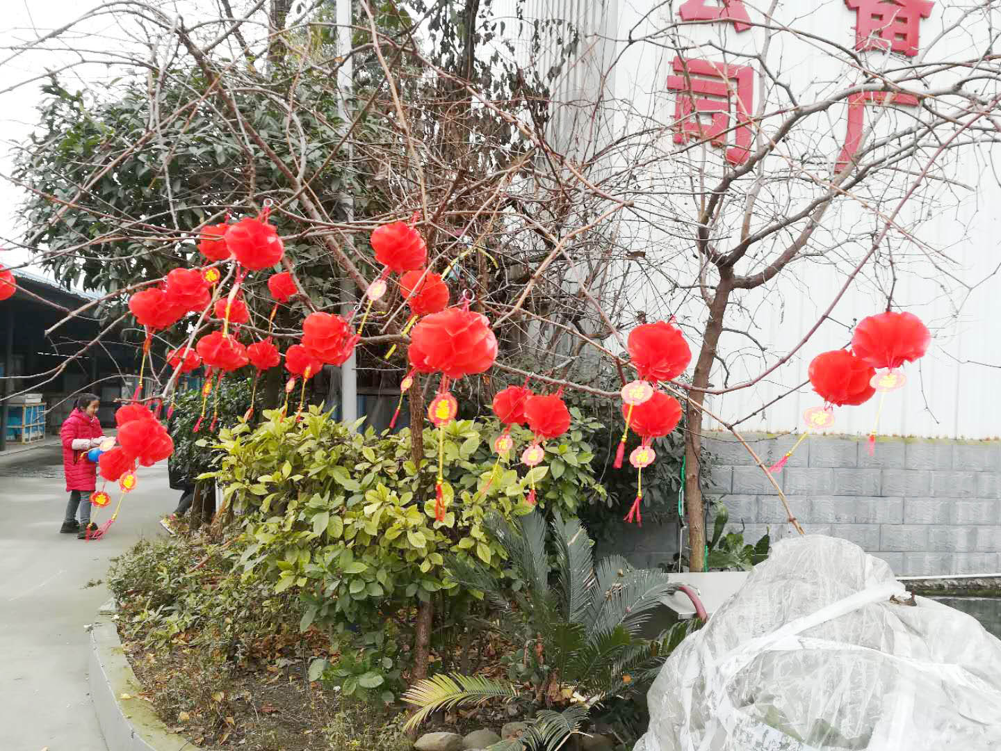 四川91麻豆国产自产激情在线看麻豆免费电影网設備公司年會4
