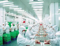 四川麻豆免费电影网設備製造廠商告訴你中央麻豆免费电影网是如何做死的