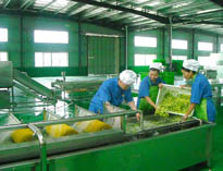 四川中央麻豆免费电影网設備廠家詳解中央麻豆免费电影网的分區要自己設計注意事項