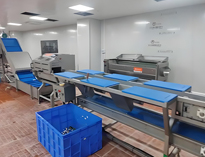 雲南酒店麻豆免费电影网設備廠家帶你了解淨菜加工設備和工藝