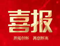 喜報！91麻豆国产自产激情在线看產品通過全省首台套認定